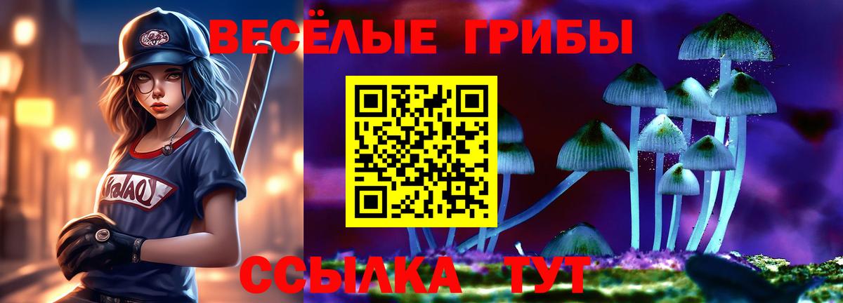 Псилоцибиновые грибы Psilocybine cubensis Котельники